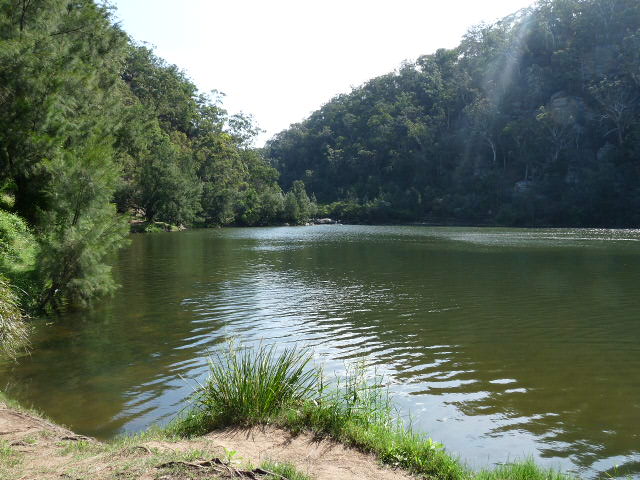 Gulguer where Garagadge the eel was chased by Murragan the Quoll cat